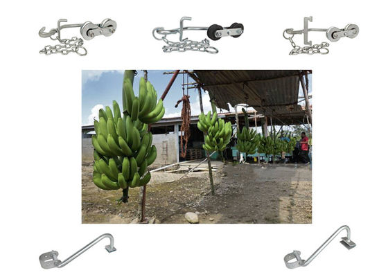 150kg-220KG η μπανάνα γαντζώνει τους κρεμώντας κυλίνδρους για τον εύκολο εξοπλισμό μεταφορών